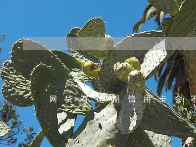 网贷有逾期信用卡会不会被降额 网贷有逾期信用卡会不会被降额