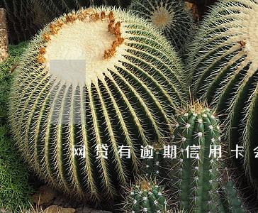 网贷有逾期信用卡会被冻结吗 网贷有逾期信用卡会被冻结吗