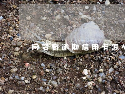 网贷有逾期信用卡怎么提额