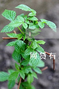 网贷有逾期信用卡能办下来么 网贷有逾期信用卡能办下来么