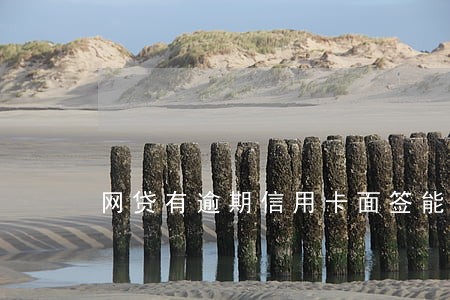 网贷有逾期信用卡面签能过吗 网贷有逾期信用卡面签能过吗