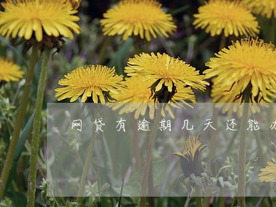 网贷有逾期几天还能办分期吗