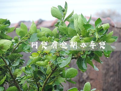 网贷有逾期办车贷