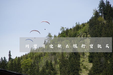 网贷有逾期去银行贷款买房 网贷有逾期去银行贷款买房