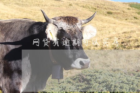 网贷有逾期可以买房 网贷有逾期可以买房