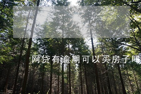 网贷有逾期可以买房子吗 网贷有逾期可以买房子吗