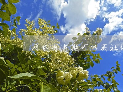 网贷有逾期可以买社保 网贷有逾期可以买社保