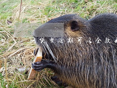 网贷有逾期可以全款买房吗 网贷有逾期可以全款买房吗