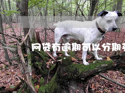 网贷有逾期可以分期买手机么 网贷有逾期可以分期买手机么