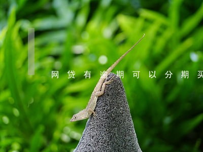 网贷有逾期可以分期买手机吗 网贷有逾期可以分期买手机吗