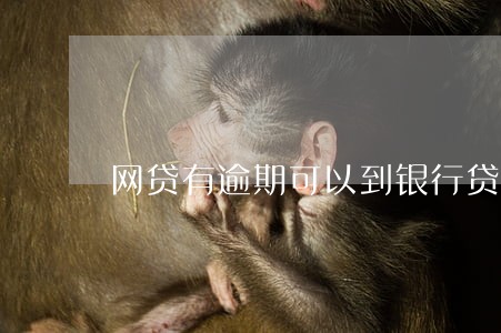 网贷有逾期可以到银行贷款吗 网贷有逾期可以到银行贷款吗
