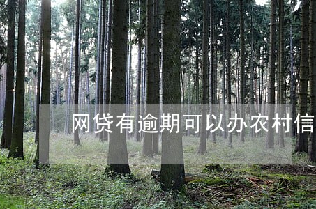 网贷有逾期可以办农村信用社 网贷有逾期可以办农村信用社