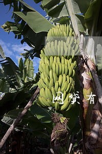 网贷有逾期可以办房贷不 网贷有逾期可以办房贷不