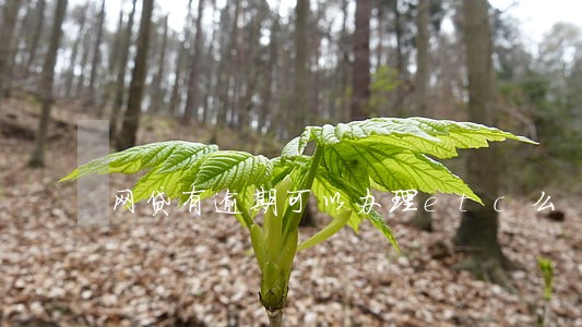 网贷有逾期可以办理etc么 网贷有逾期可以办理etc么