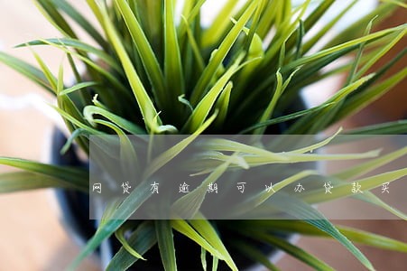 网贷有逾期可以办贷款买房吗 网贷有逾期可以办贷款买房吗