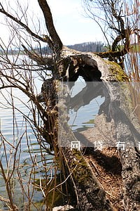 网贷有逾期可以医美贷吗 网贷有逾期可以医美贷吗