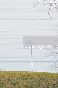 网贷有逾期可以按揭吗 网贷有逾期可以按揭吗