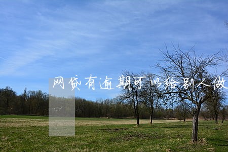 网贷有逾期可以给别人做担保吗