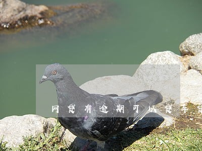 网贷有逾期可以贷车贷吗