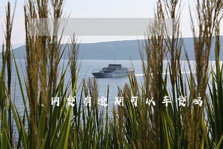 网贷有逾期可以车贷吗 网贷有逾期可以车贷吗