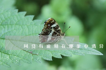 网贷有逾期在哪里申请异议 网贷有逾期在哪里申请异议