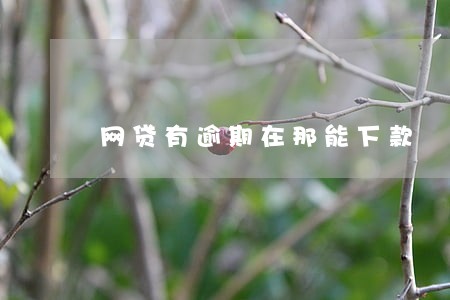 网贷有逾期在那能下款
