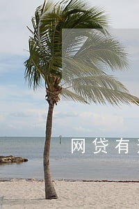 网贷有逾期在银行还能贷款吗 网贷有逾期在银行还能贷款吗