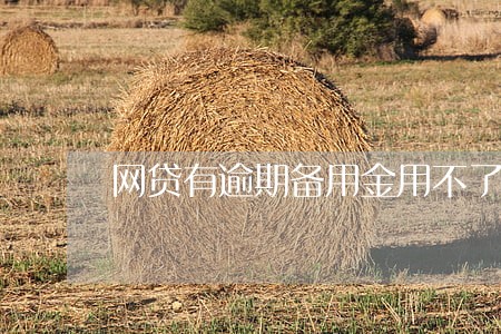 网贷有逾期备用金用不了