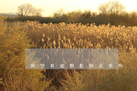 网贷有逾期影响买车吗 网贷有逾期影响买车吗