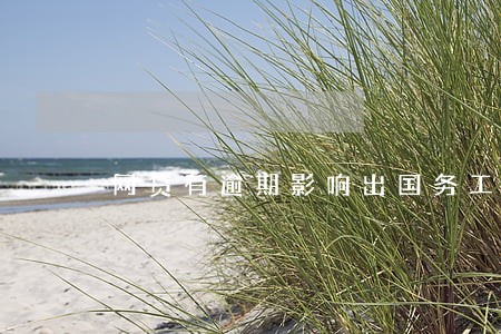 网贷有逾期影响出国务工吗 网贷有逾期影响出国务工吗