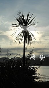 网贷有逾期影响办银行卡吗