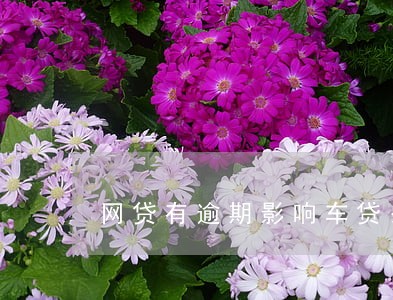 网贷有逾期影响车贷么 网贷有逾期影响车贷么