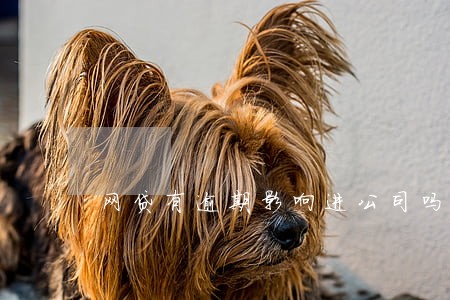 网贷有逾期影响进公司吗 网贷有逾期影响进公司吗