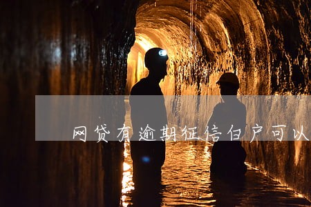 网贷有逾期征信白户可以下款 网贷有逾期征信白户可以下款