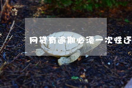 网贷有逾期必须一次性还清吗 网贷有逾期必须一次性还清吗