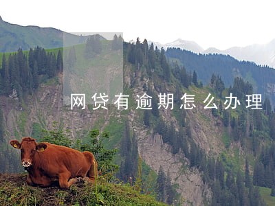 网贷有逾期怎么办理 网贷有逾期怎么办理