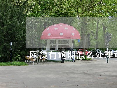 网贷有逾期怎么处理可以消除 网贷有逾期怎么处理可以消除