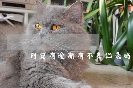 网贷有逾期有不良记录吗 网贷有逾期有不良记录吗