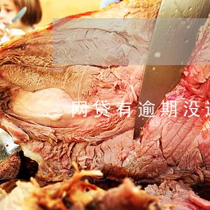 网贷有逾期没还能按揭车吗 网贷有逾期没还能按揭车吗