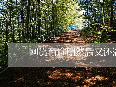 网贷有逾期然后又还清多久才能用 网贷有逾期然后又还清多久才能用