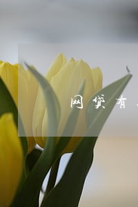 网贷有逾期的能不能贷款车贷 网贷有逾期的能不能贷款车贷