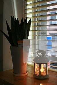 网贷有逾期短信没有写退订 网贷有逾期短信没有写退订