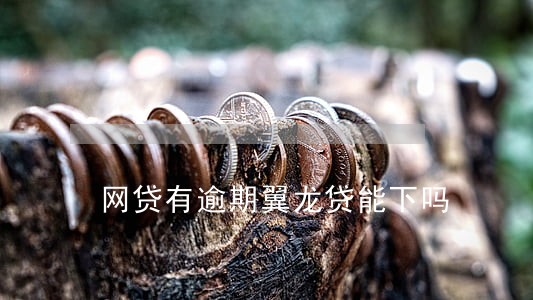 网贷有逾期翼龙贷能下吗 网贷有逾期翼龙贷能下吗