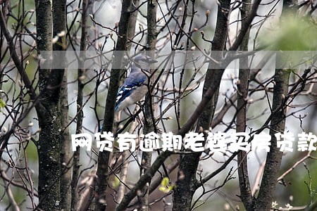 网贷有逾期老婆买房贷款 网贷有逾期老婆买房贷款