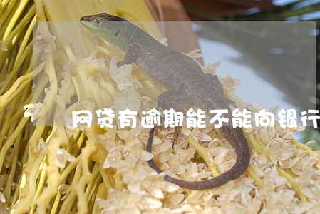 网贷有逾期能不能向银行贷2万 网贷有逾期能不能向银行贷2万
