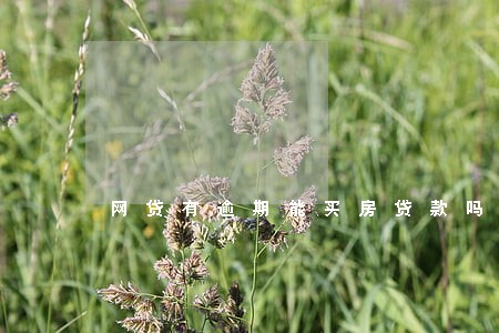 网贷有逾期能买房贷款吗 网贷有逾期能买房贷款吗