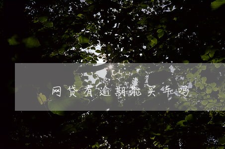 网贷有逾期能买车吗 网贷有逾期能买车吗