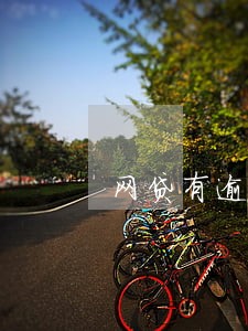 网贷有逾期能买车票吗 网贷有逾期能买车票吗