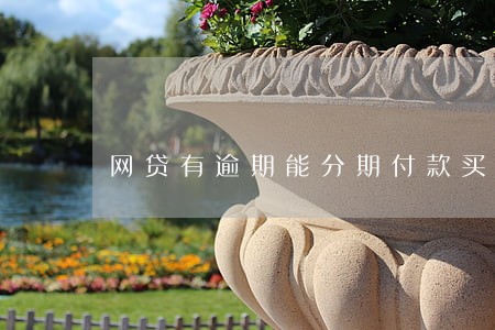 网贷有逾期能分期付款买车吗 网贷有逾期能分期付款买车吗