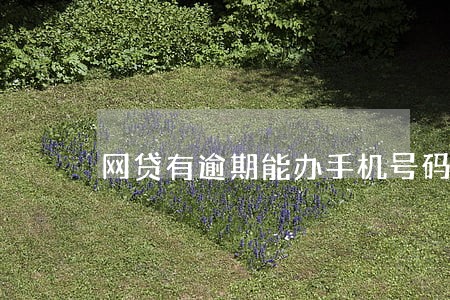 网贷有逾期能办手机号码吗 网贷有逾期能办手机号码吗